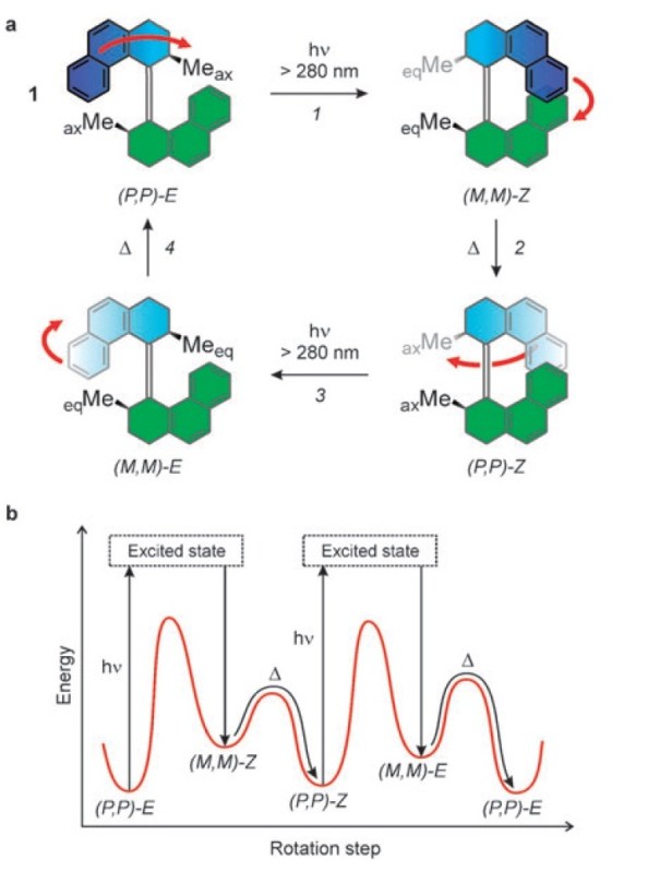 maquina1 Figura 1. Molècula de bifenaltrilidè amb rotació unidireccional mitjançant 4 passos