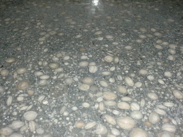 37a Foto Química de la Setmana