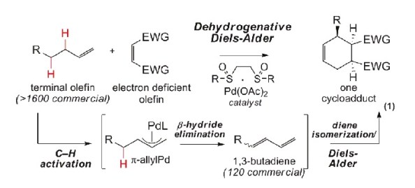 Figura 1. Esquema amb les reaccions tradicionals (ruta de baix) i la nova reacció (ruta de dalt)