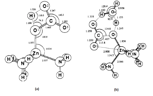 Figura 3. L'estat de transició del mecanisme de Lipscomb (a) sense aigua i (b) amb una molècula d'aigua.